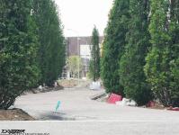 Imagine atasata: Openville - 2019.05.26 - 12.jpg